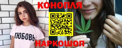 сатива Камышлов