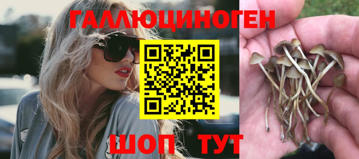 Галлюциногенные грибы MAGIC MUSHROOMS  Вход с VPN  Кудрово 